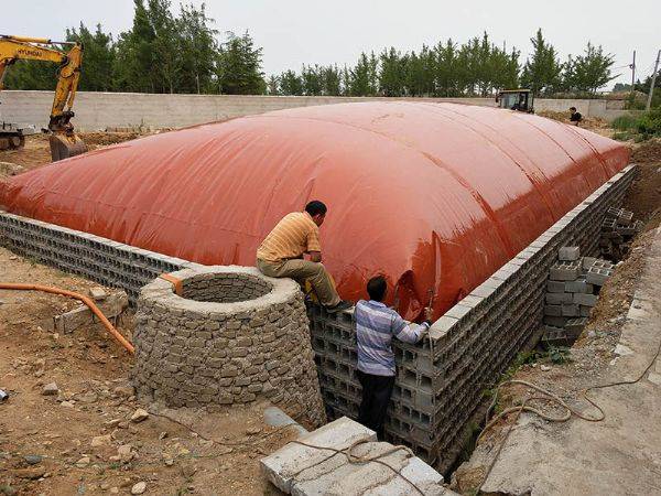 Biogas digester