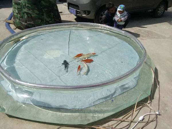Water storage tank 2018